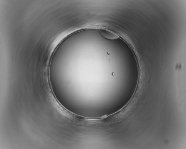 X0000112461344200908171153