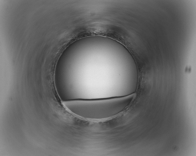 X0000112461345200908171153