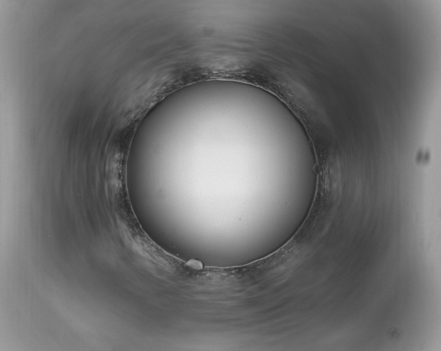 X0000112461346200908171153