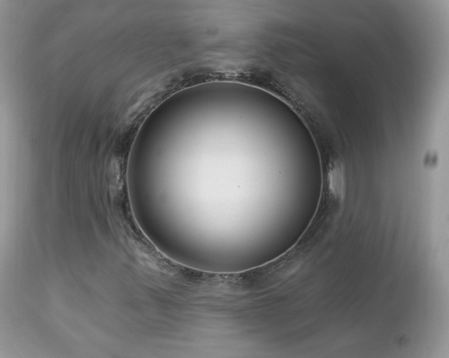 X0000112461347200908171153