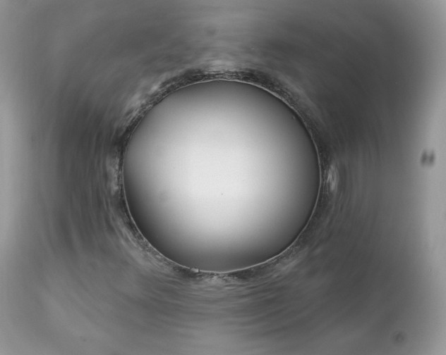 X0000112461348200908171153