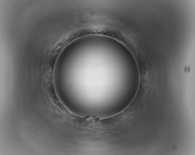 X0000112461349200908171153