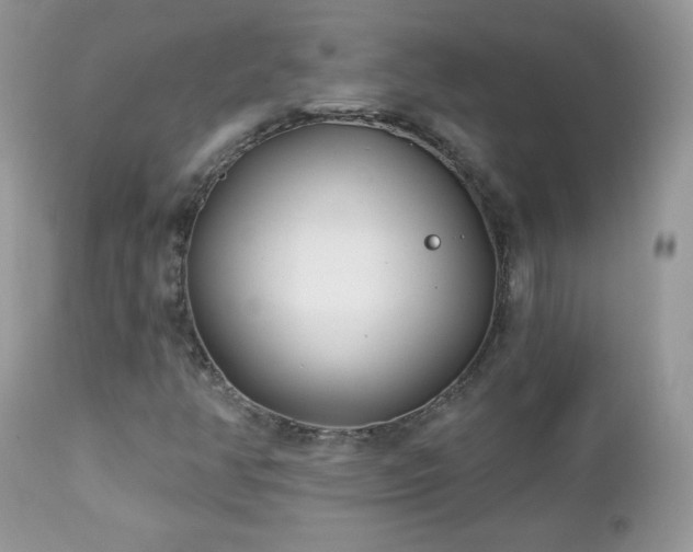 X0000112461350200908171152