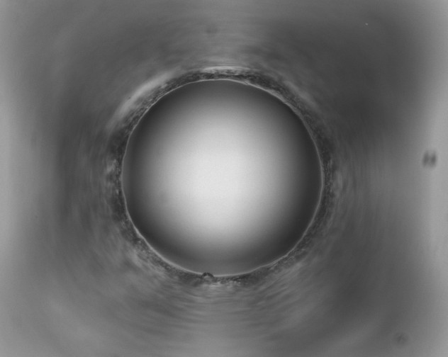 X0000112461351200908171152