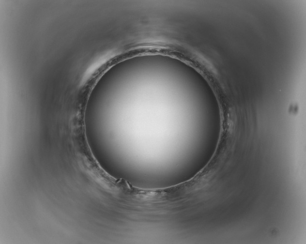 X0000112461352200908171152