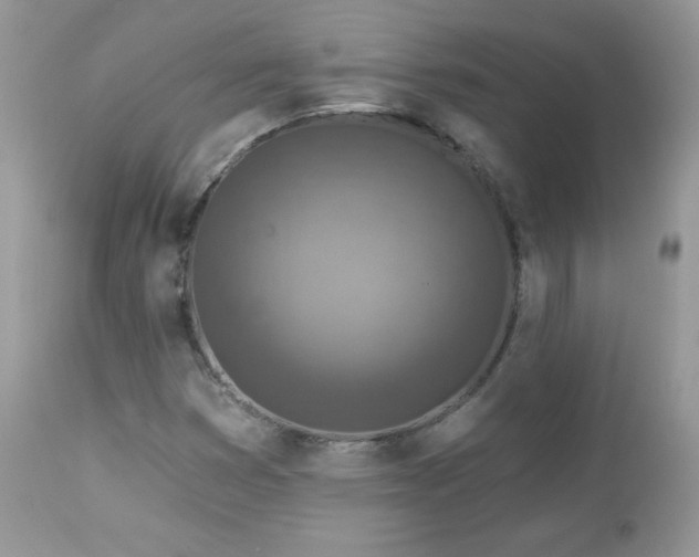 X0000112461353200908171152