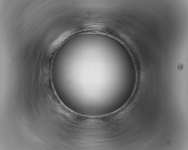X0000112461354200908171152
