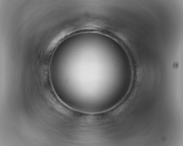 X0000112461355200908171152