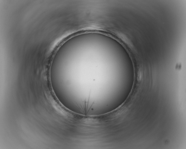 X0000112461356200908171152