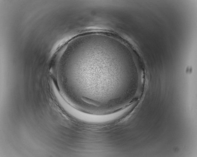 X0000112461357200908171152