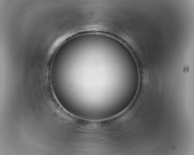 X0000112461358200908171152