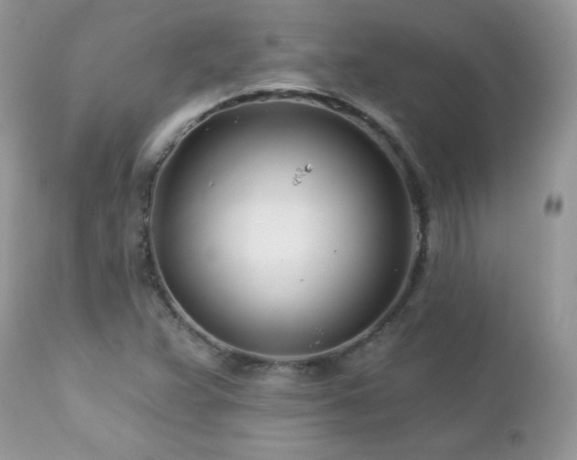 X0000112461359200908171152