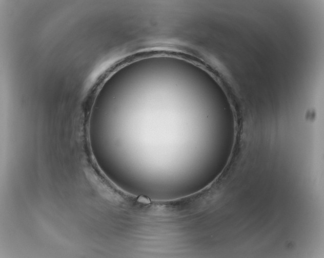 X0000112461360200908171152
