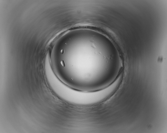 X0000112461361200908171152