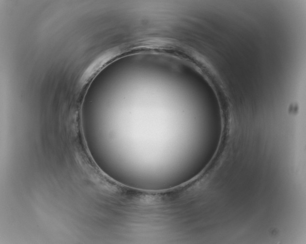 X0000112461362200908171152