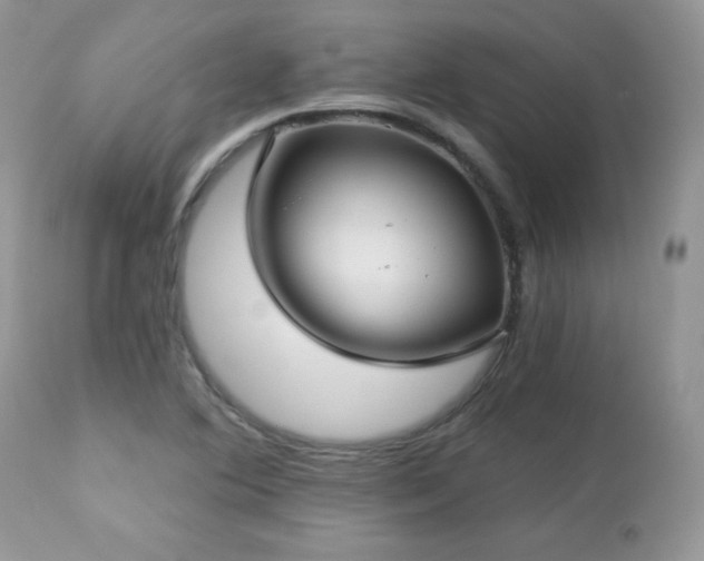 X0000112461364200908171152