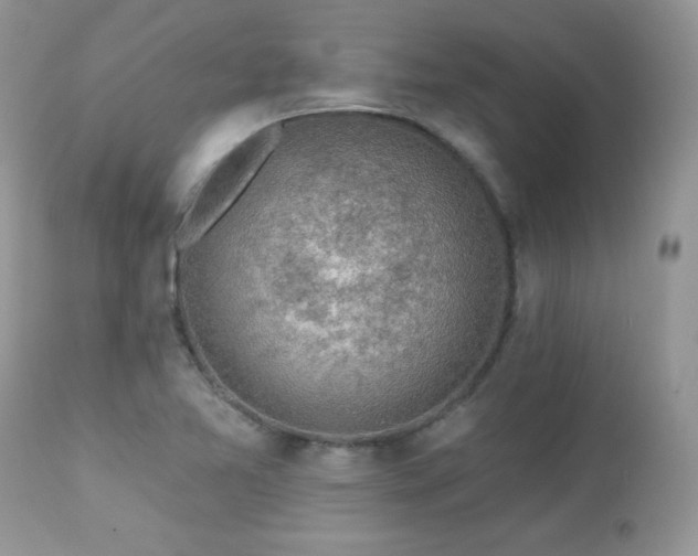 X0000112461365200908171152