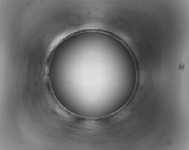 X0000112461366200908171152