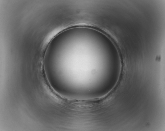 X0000112461367200908171152