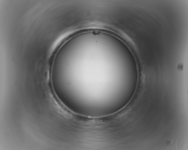 X0000112461368200908171152
