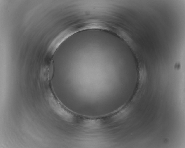 X0000112461369200908171152