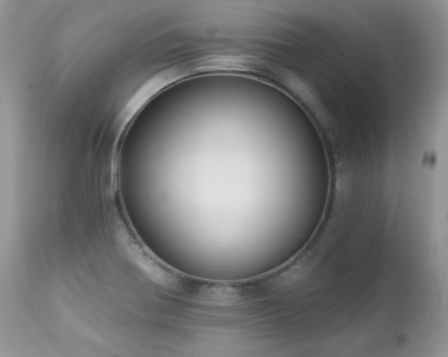 X0000112461370200908171152