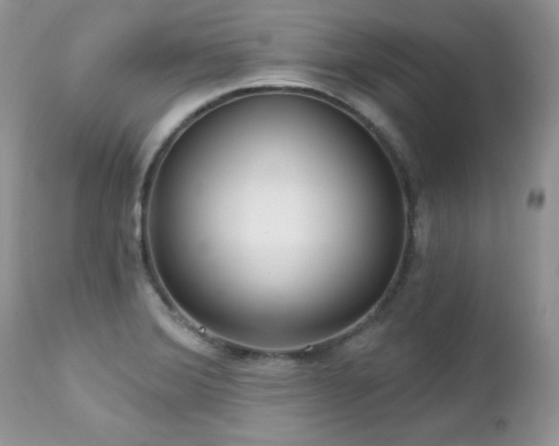 X0000112461372200908171152