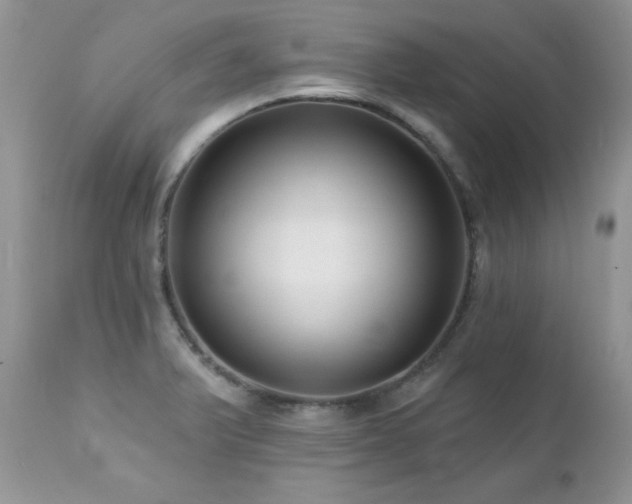 X0000112461375200908171152