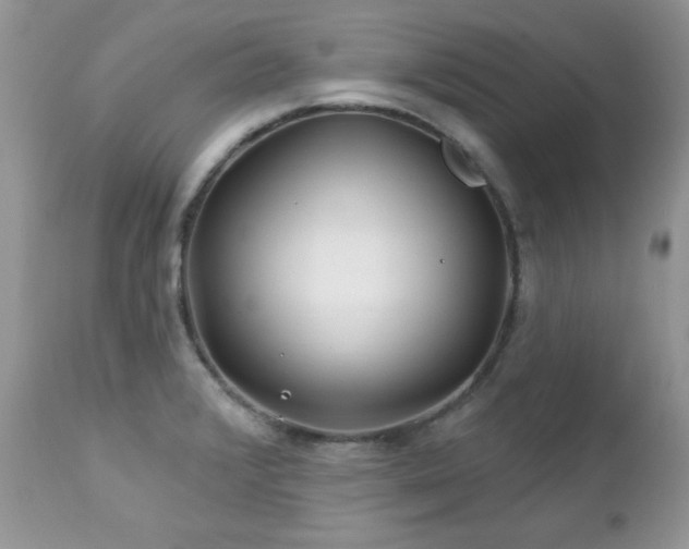 X0000112461376200908171152
