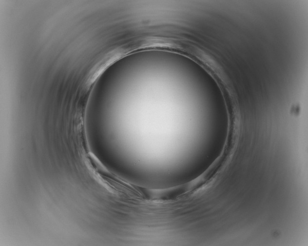 X0000112461377200908171152