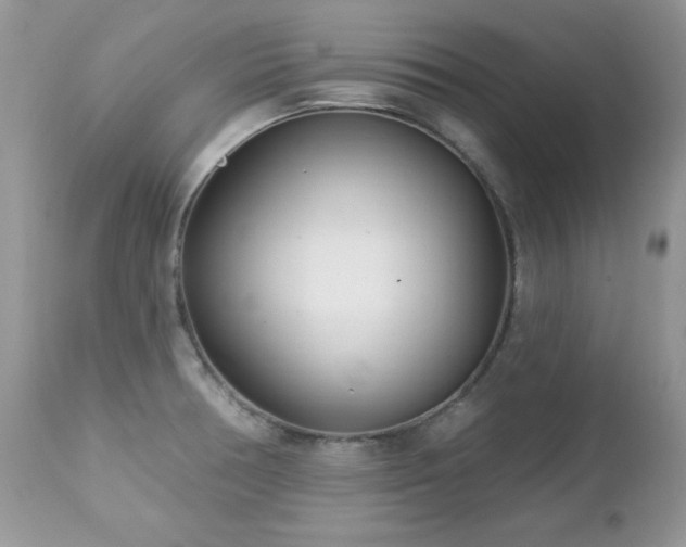X0000112461378200908171152