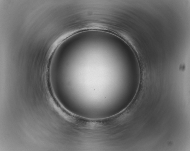 X0000112461379200908171152