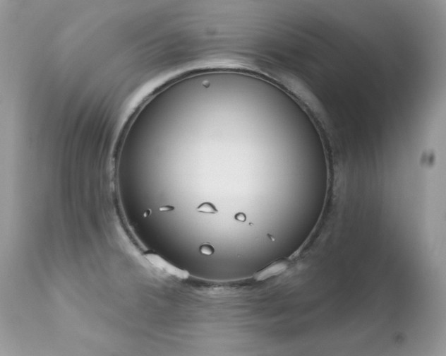 X0000112461380200908171152