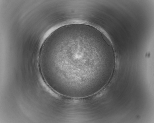 X0000112461381200908171152