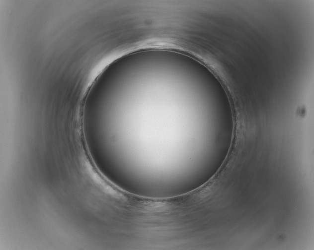 X0000112461382200908171152