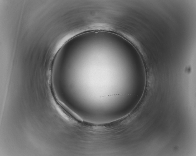 X0000112461383200908171152