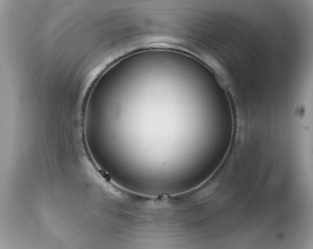 X0000112461384200908171152