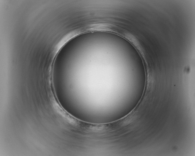 X0000112461386200908171152