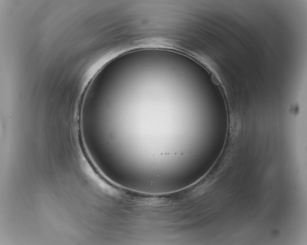 X0000112461387200908171152