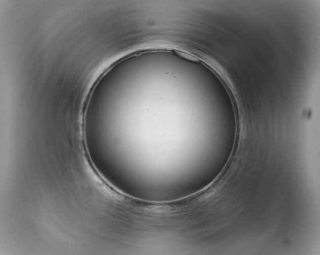 X0000112461388200908171152