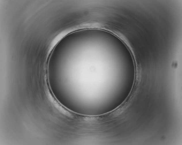 X0000112461389200908171152