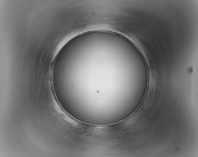 X0000112461390200908171152