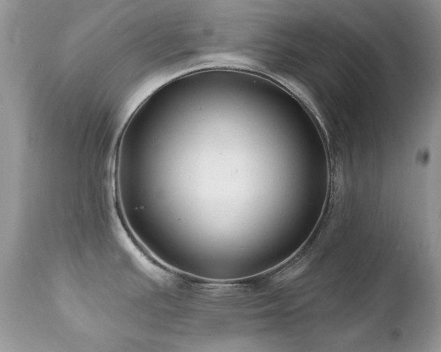 X0000112461391200908171152