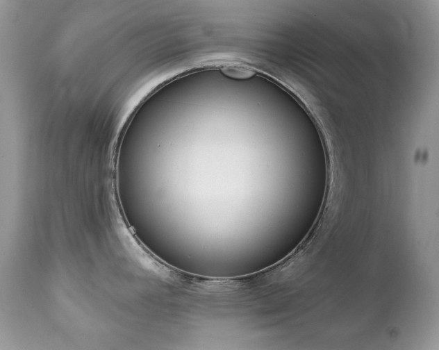 X0000112461392200908171152