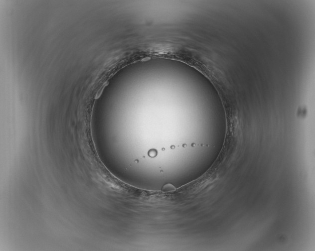 X0000112461393200908171151