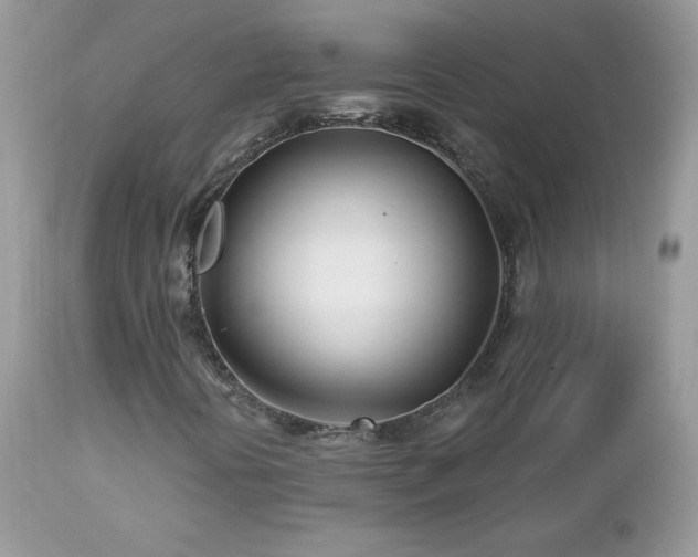 X0000112461394200908171151