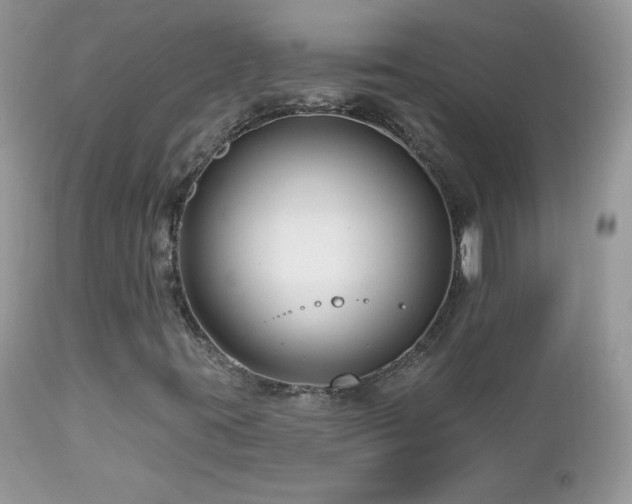 X0000112461395200908171151