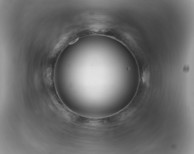 X0000112461396200908171151
