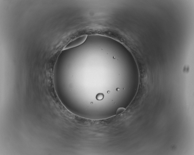X0000112461397200908171151