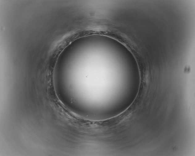 X0000112461398200908171151